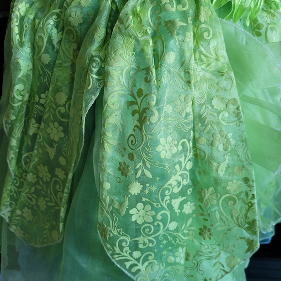 Tinkerbell Dress & Wings - Picture 5 of 10